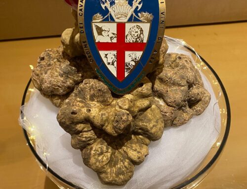 313th Chapter of the Alba White Truffle