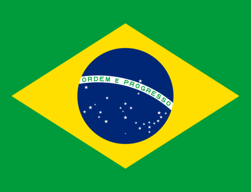 1° Chapter of the Constitution of the Rio de Janeiro Delegation